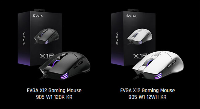  EVGA sort la X12 : une souris gaming qui supporte 8000 Hz