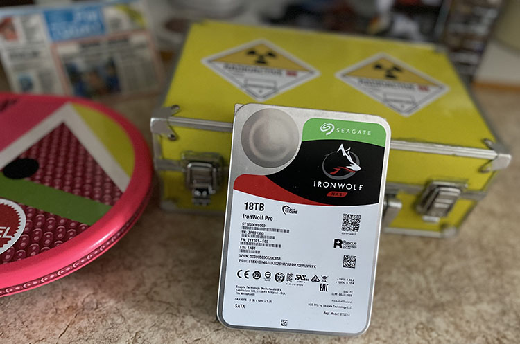 Seagate IronWolf Pro 18To ST18000NE000 