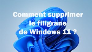  Astuce : comment supprimer le filigrane de Windows 11 ?