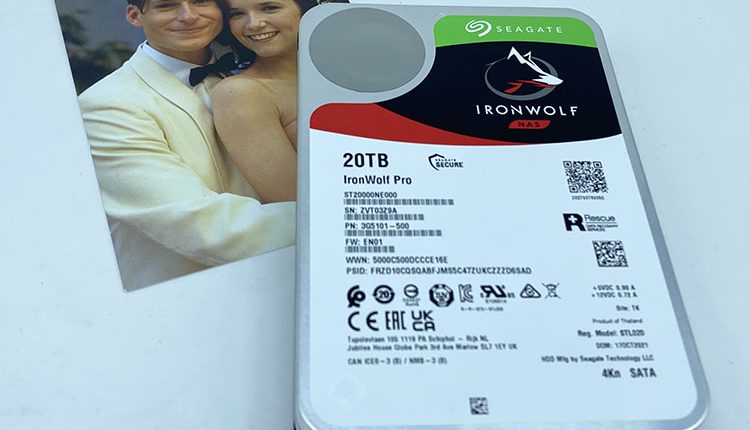 test-seagate-ironwolf-20to-002
