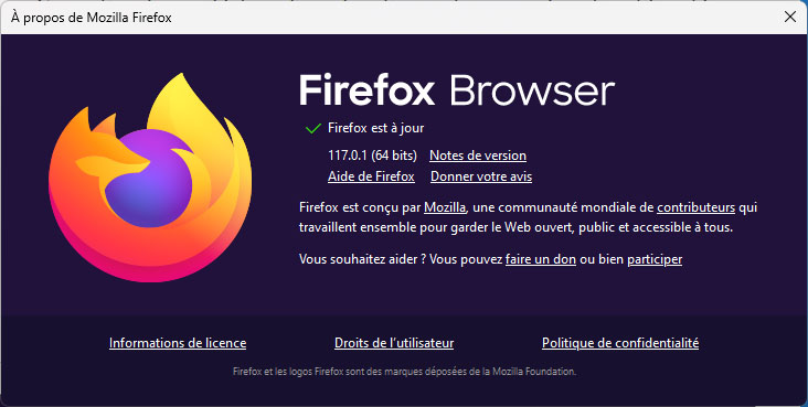 Le plein de correctifs pour Firefox 117.0.1 | Bhmag Firefox