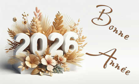  Bonne année 2026 !